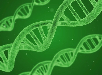 dna-2_gruen